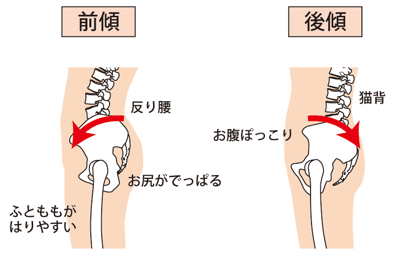「骨盤を制する者が水を制す」ー前傾・後傾自在で広がるあなたの泳ぎという記事のアイキャッチ画像